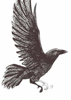 236x332 How To Draw A Chinese Crow - Crow Bird Drawing