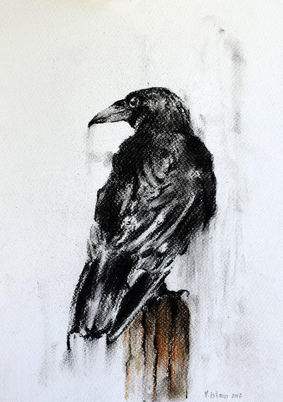 570x808 Crow Drawing Original Raven On A Branch Charcoal Drawing Etsy - Crow Drawing