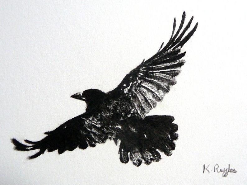 794x594 crow original charcoal drawing crow drawing rook drawing etsy - Crow Drawing