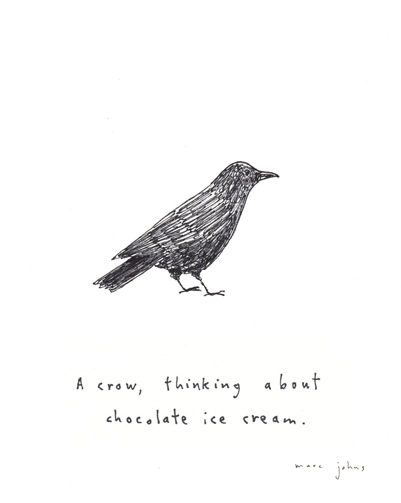 800x1004 custom crow drawing marc johns - Crow Drawing