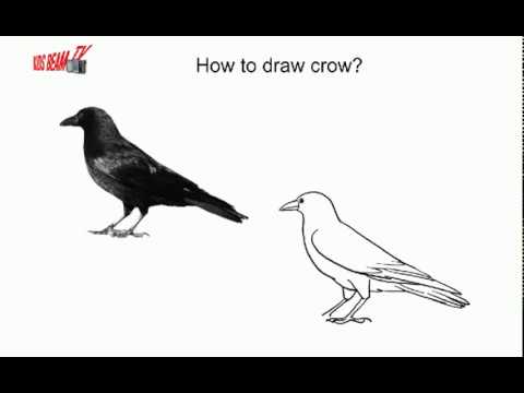 480x360 How To Draw Crow - Crow Drawing