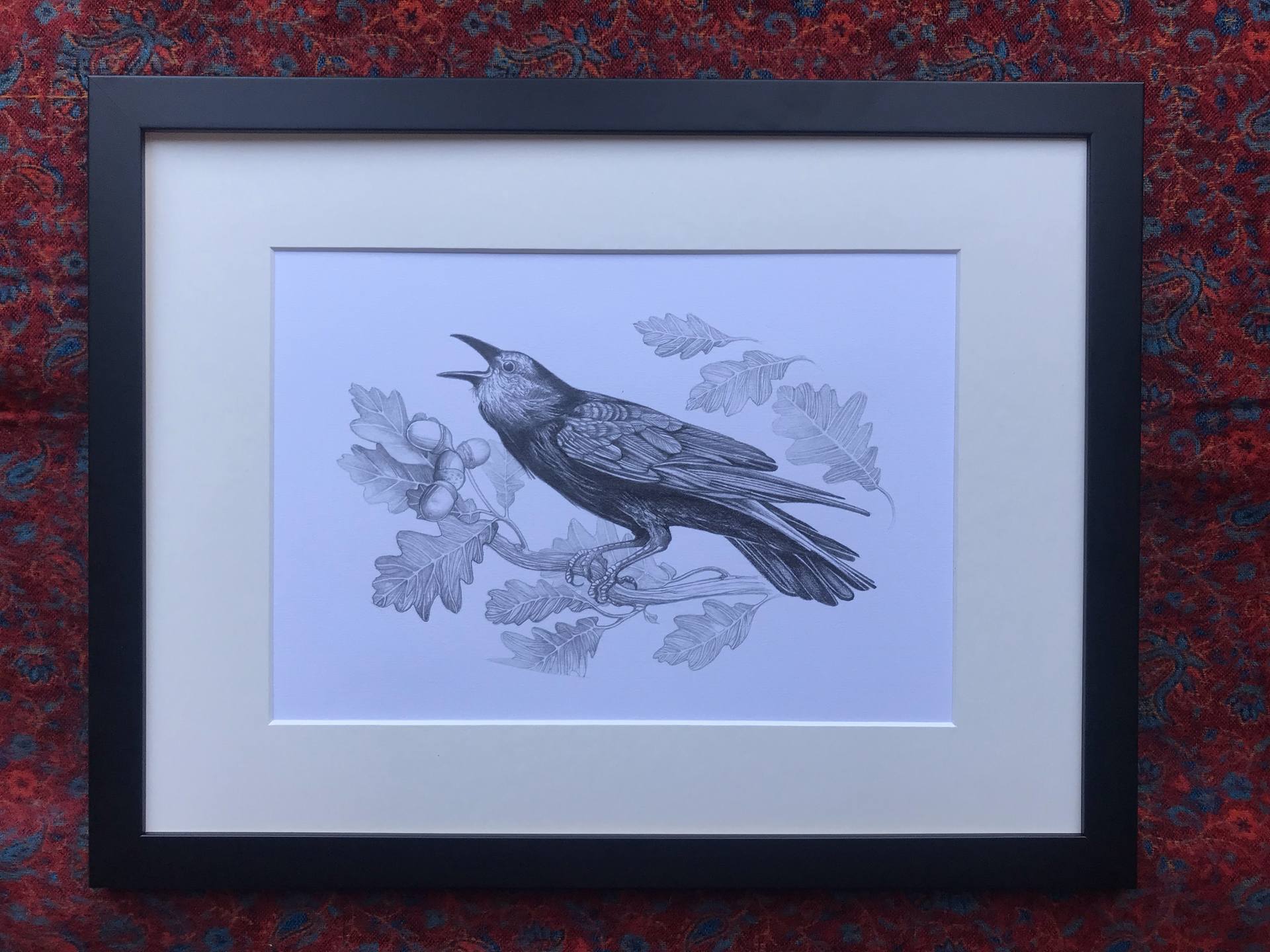 1920x1440 the june crow drawing - Crow Drawing