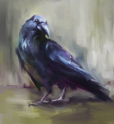 400x434 Crow Drawing Tumblr - Crow Drawing