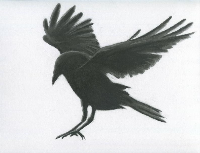 794x606 charcoal crow original crow drawing etsy - Crow Drawing