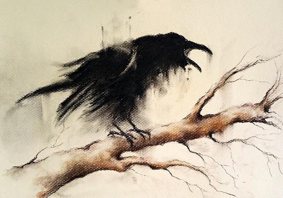 570x399 original crow drawing charcoal black and white art crow on a etsy - Crow Drawing Images