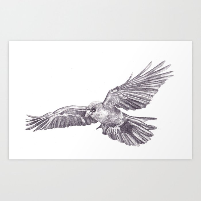 700x700 Pencil Drawing - Crow Drawing Images