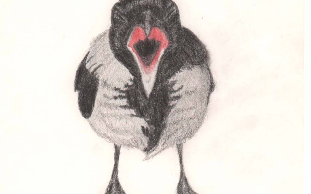 1080x675 Re Drawing Year Old Drawing Of Angry Crow - Crow Drawing Images