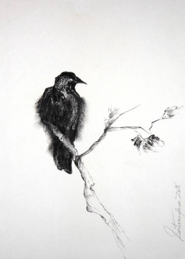 375x525 The Crow Drawing - Crow Drawing Images