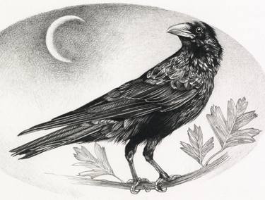 375x284 The March Crow Drawing - Crow Drawing Images