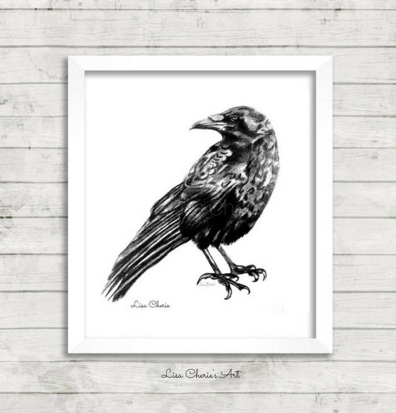 794x828 crow print crow art crow drawing animal totem art crow etsy - Crow Drawing Pictures