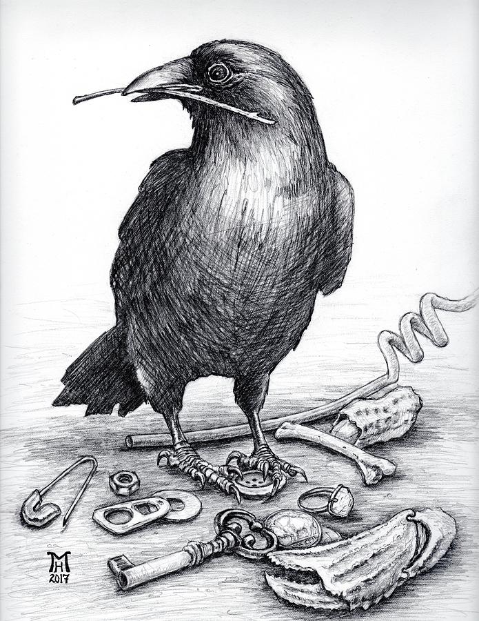 695x900 Crow Treasure Drawing - Crow Drawing Pictures