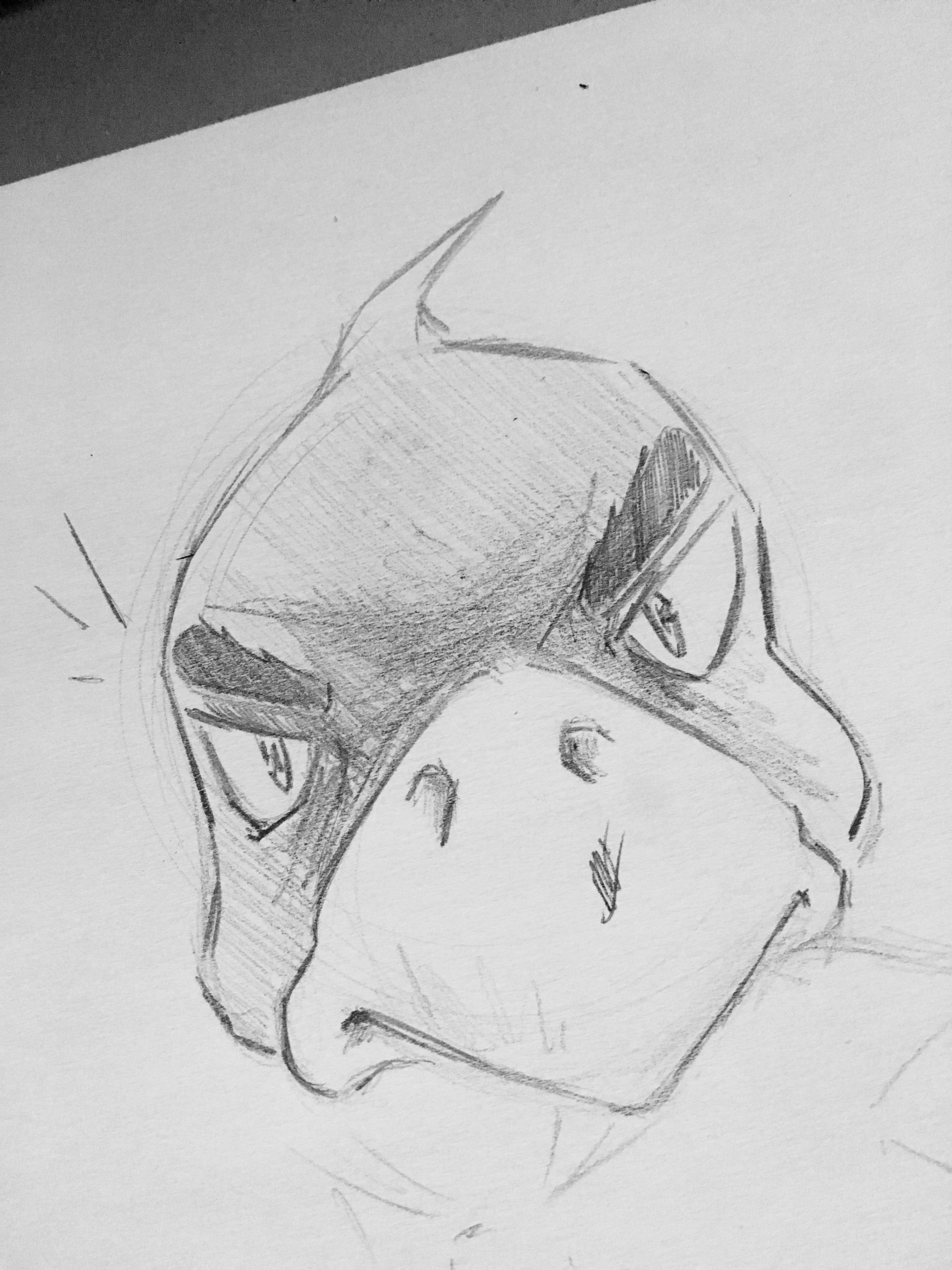 3024x4032 Crow Drawing - Crow Drawing Pictures