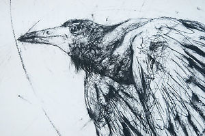 300x199 Drawings Sale - Crow Drawing Pictures