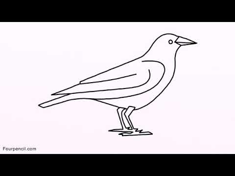 480x360 How To Draw Crow Easy Drawing For Kids Step - Crow Drawing Pictures