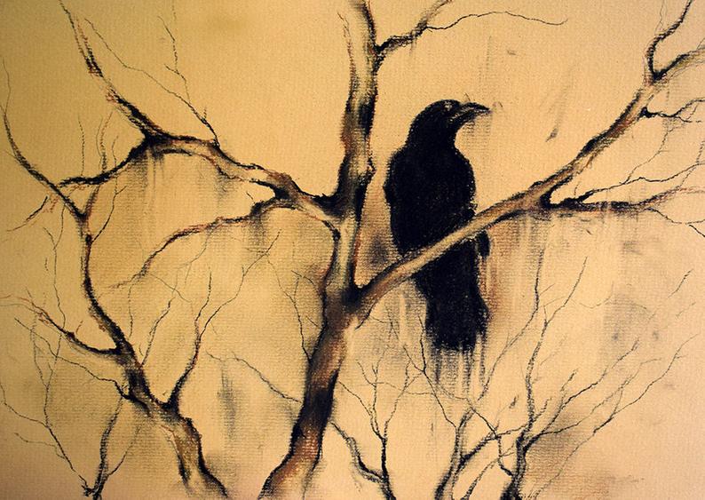 794x563 original charcoal crow drawing raven art crow on a branch etsy - Crow Drawing Pictures