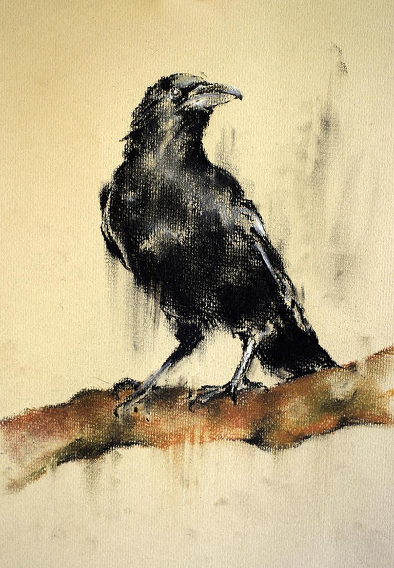 794x1145 Original Crow Drawing Raven On A Branch Charcoal Drawing Etsy - Crow Drawing Pictures