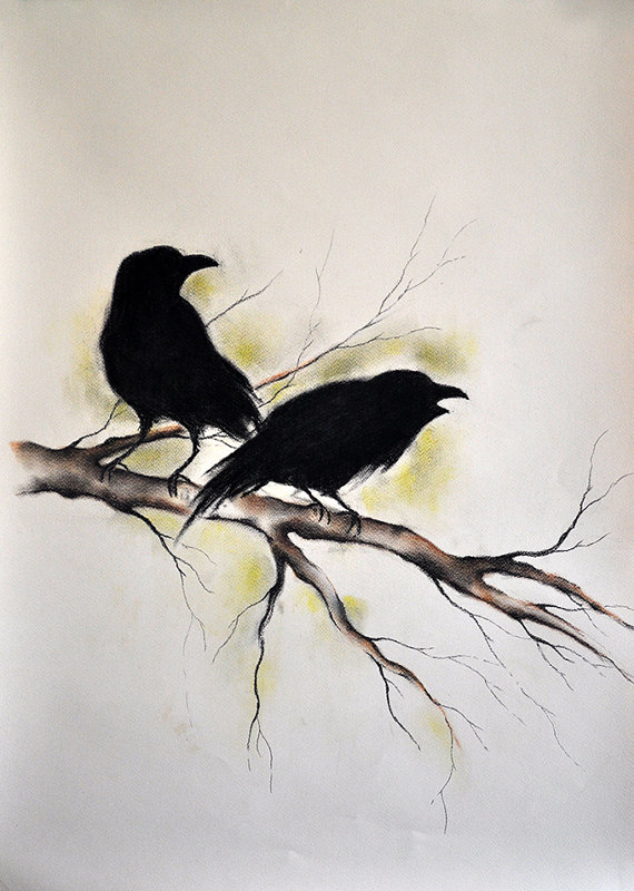 570x800 Flying Raven Drawing - Crow Drawing Pictures