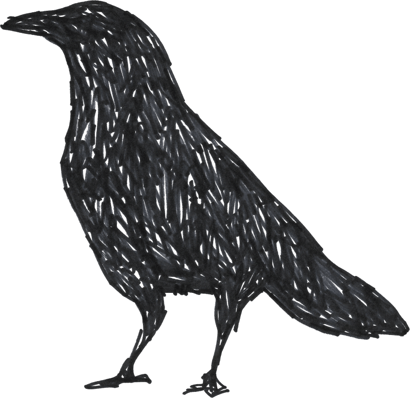800x776 Collection Of Free Crow Drawing Unique Download On Ui Ex - Crow Drawing Pictures