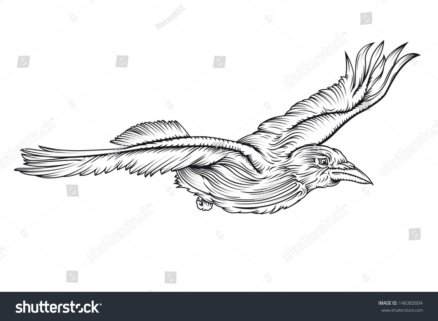 1500x1101 crow flying drawing vector line drawing of a crow flying flying - Crow Line Drawing