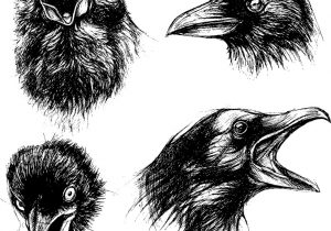 300x210 Crow Line Drawing Abstract Stylized Crows Decorative Bird Line Art - Crow Line Drawing