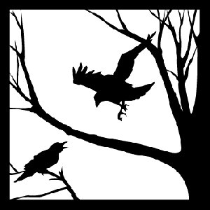 300x300 Crow Line Drawing Vinyl Stickers, Sticker - Crow Line Drawing