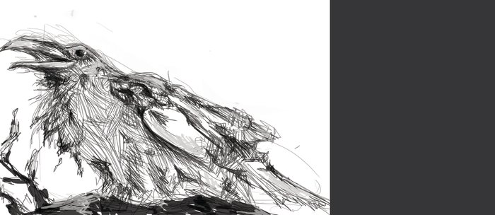 700x304 Crow Line Drawing Coffee Mug - Crow Line Drawing