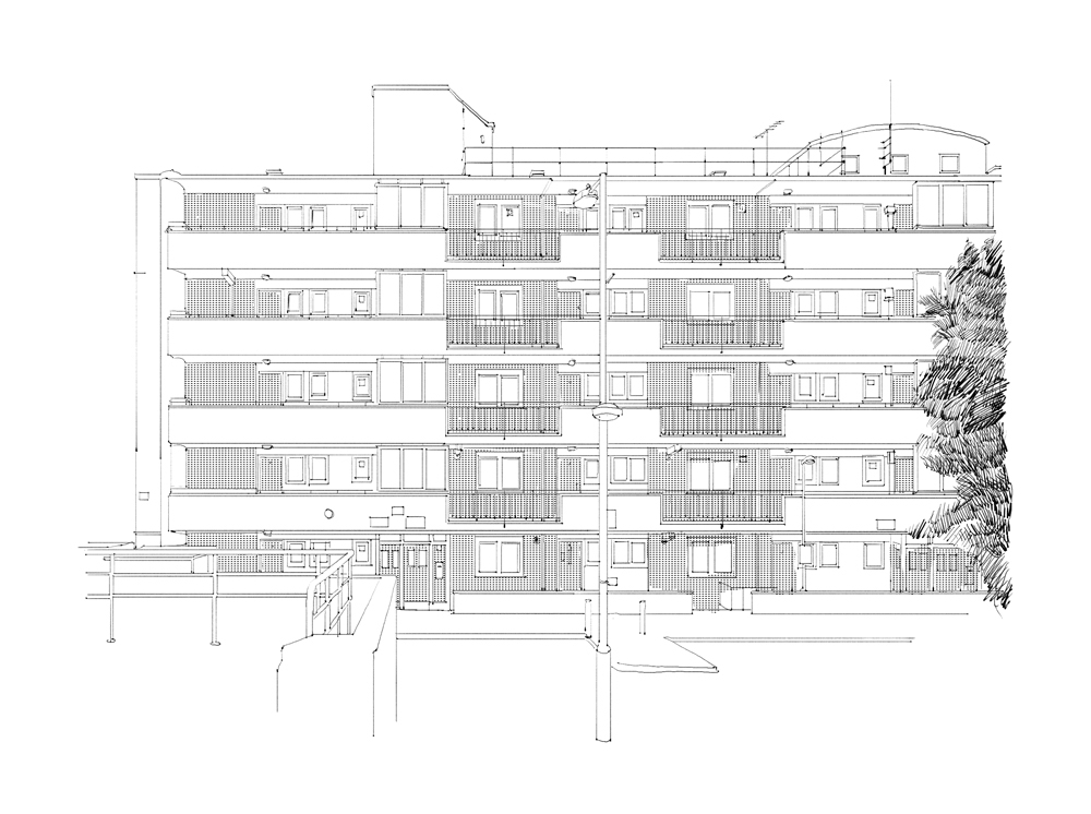 1000x746 line drawing eleanor crow illustration - Crow Line Drawing