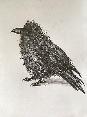 300x400 Original Pencil Pencil Drawing Sketch Of Raven Crow Wildlife - Crow Pencil Drawing