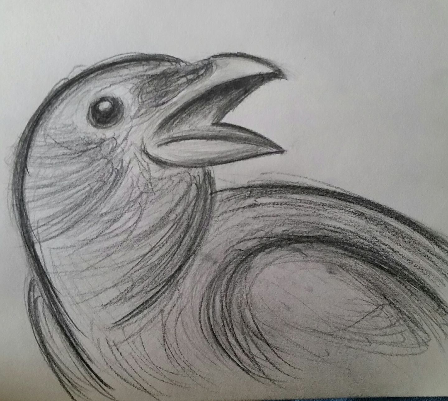 1440x1289 R B Publishing Pencil Shavings - Crow Pencil Drawing