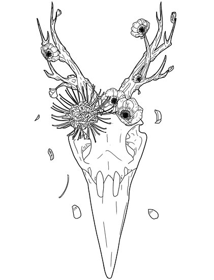 421x550 Crow Skull Black Lines Posters - Crow Skull Drawing