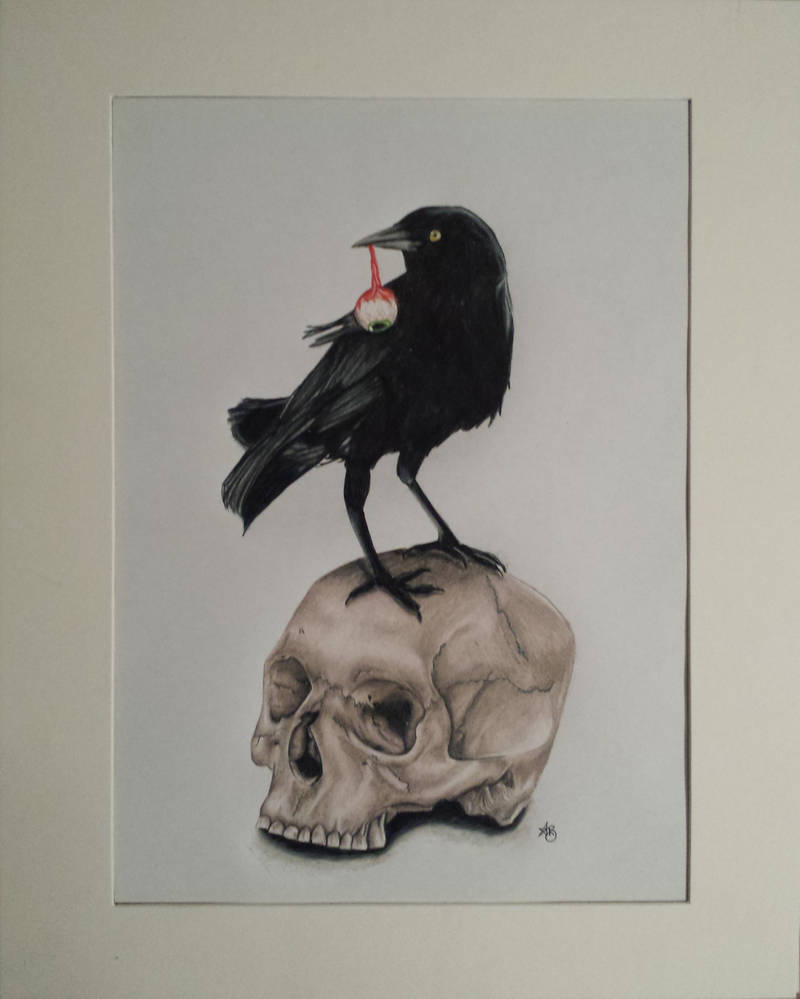 800x999 Crow And Skull Drawing For Sale - Crow Skull Drawing