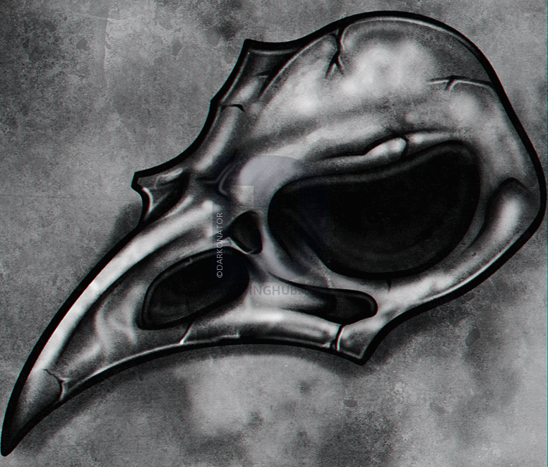 776x661 How To Draw A Crow Skull, Step - Crow Skull Drawing