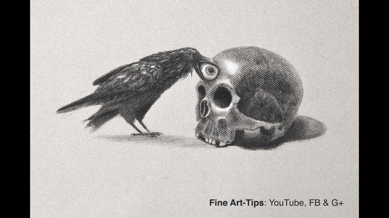 1280x720 How To Draw A Skull Crow - Crow Skull Drawing