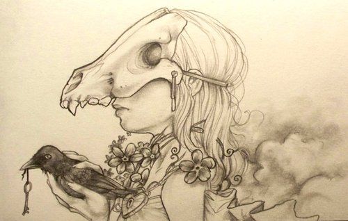 500x318 crow drawing sketch crow skull drawing crow bird skull drawing - Crow Skull Drawing