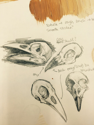 320x426 Art Class Project Planning Weeee - Crow Skull Drawing