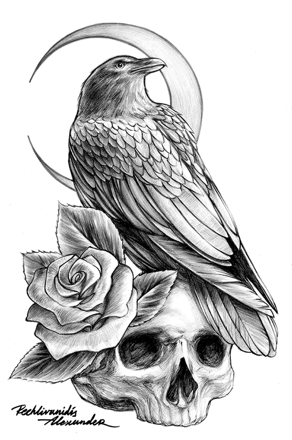 Crow Tattoo Drawing at Explore collection of Crow