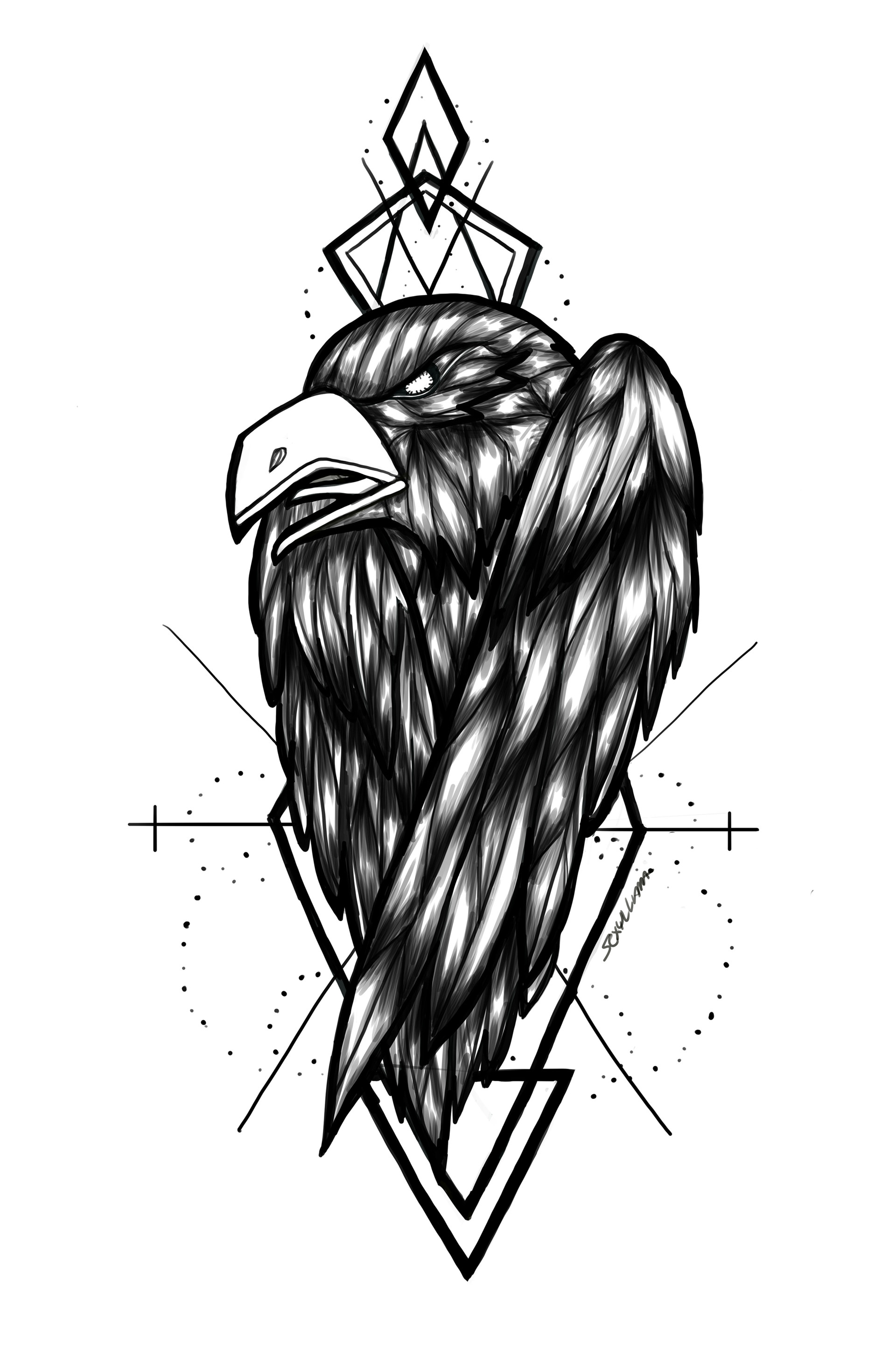 1920x2881 Dar Zellmer - Crow Tattoo Drawing