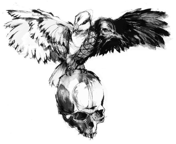 735x600 Dove And Crow On Skull Tattoo Design - Crow Tattoo Drawing