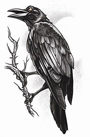 300x455 crow tattoo images goth raven tattoo - Crow Tattoo Drawing