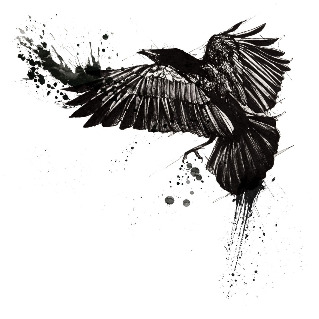 1280x1280 Raven Drawing - Crow Tattoo Drawing