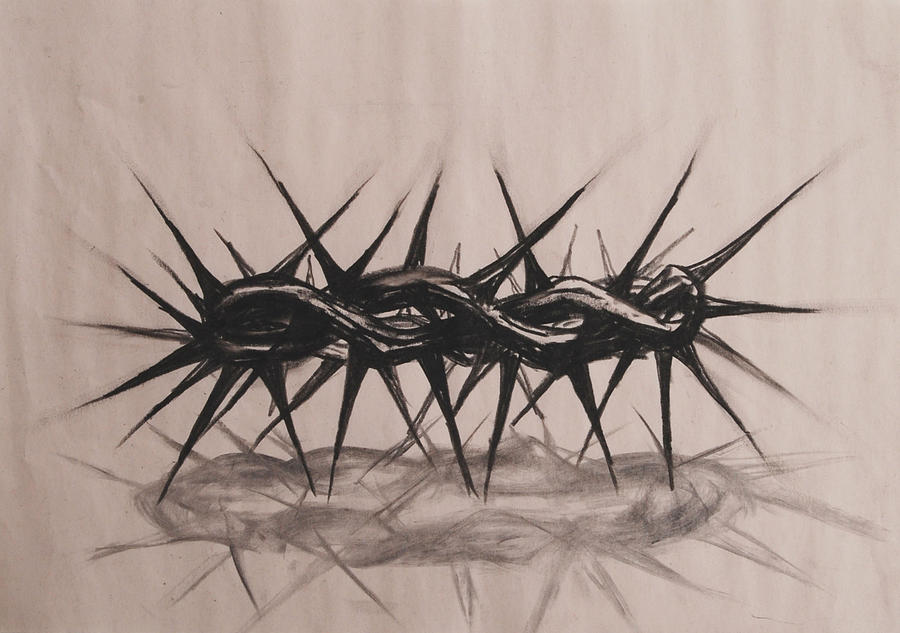 900x633 Crown Of Thorns Drawing - Crown Of Thorns Drawing