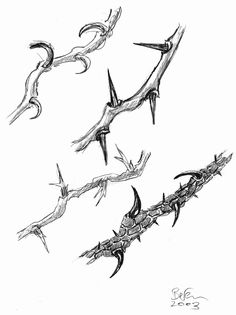 236x315 Drawn Crown Thorn - Crown Of Thorns Drawing
