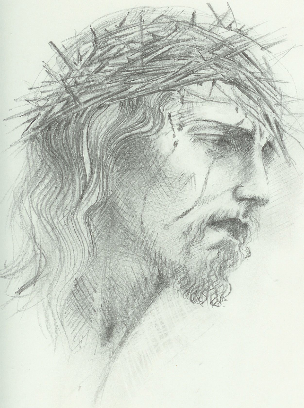 1251x1680 Collection Of 'jesus Crown Of Thorns Drawing' Download More Than - Crown Of Thorns Drawing
