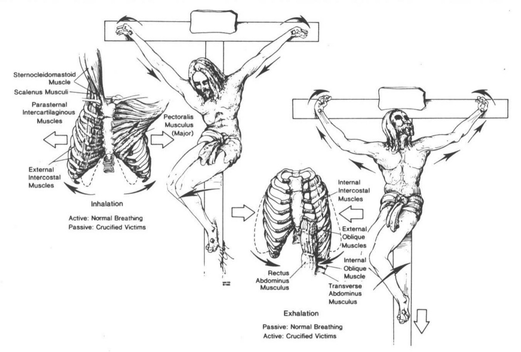 1024x692 jesus of nazareth crucifixion photo gallery - Crucifixion Of Jesus Drawing