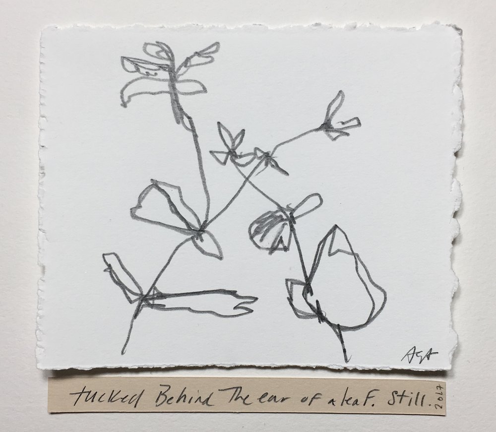 1000x871 meditations on adorations process drawings of a crush augusta - Crush Drawings