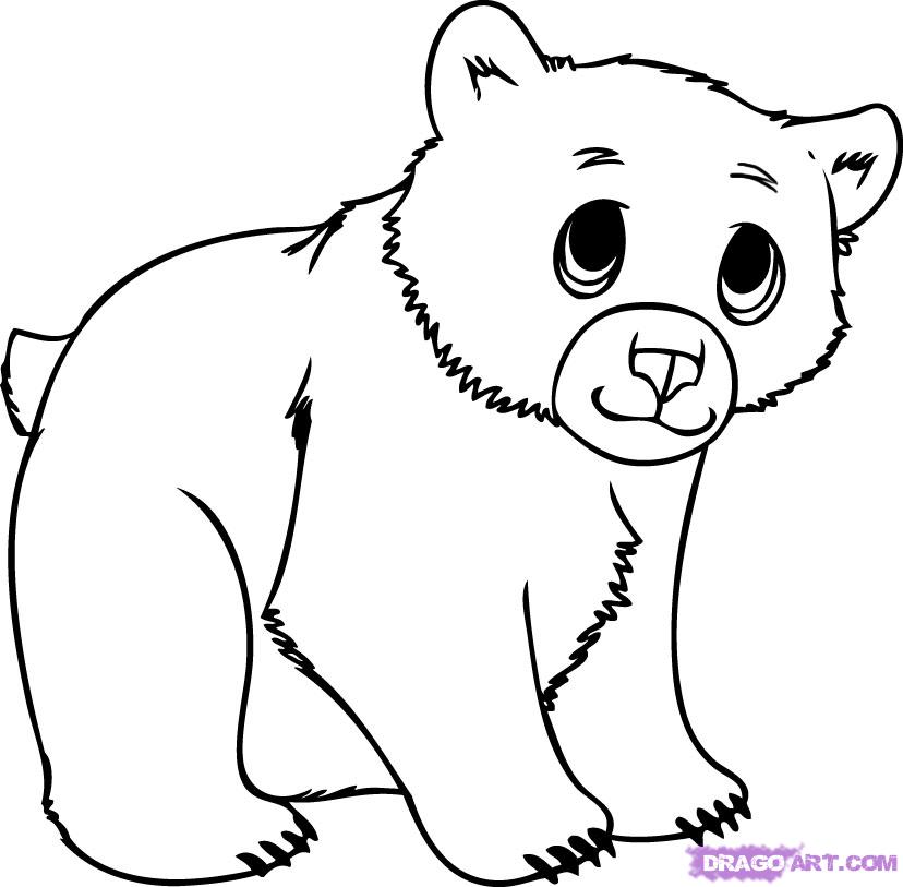 828x813 How To Draw A Cub, Step - Cub Drawing