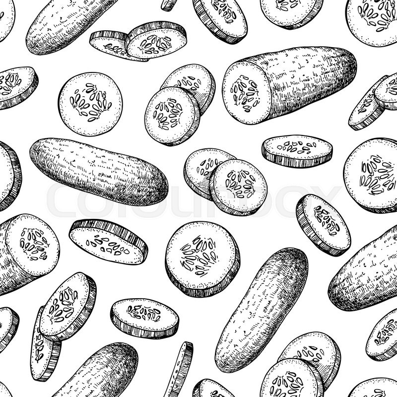 800x800 Cucumber Hand Drawn Vector Seamless Stock Vector Colourbox - Cucumber Drawing