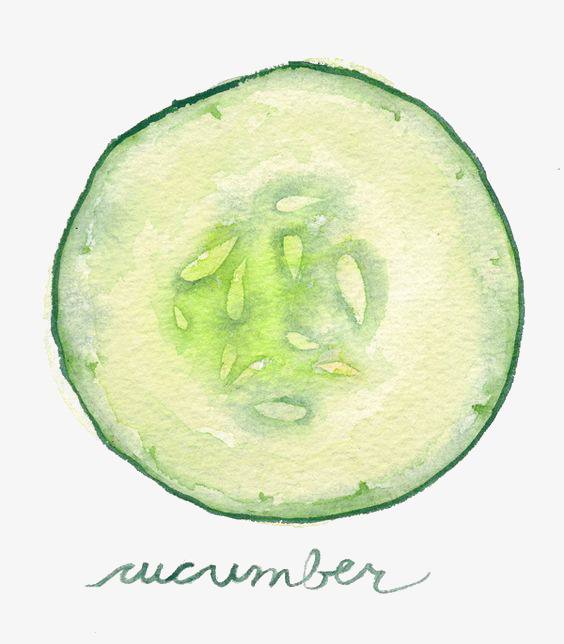 564x644 Drawing Cucumber, Illustration, Cartoon, Hand Painted Png Image - Cucumber Drawing