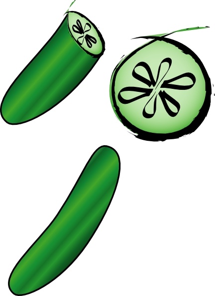 432x593 Fernandotre Cucumber Clip Art Free Vector In Open Office Drawing - Cucumber Drawing