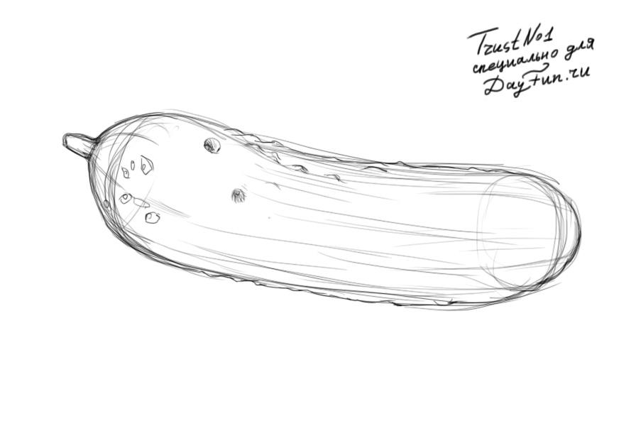 896x600 How To Draw A Cucumber Step - Cucumber Drawing